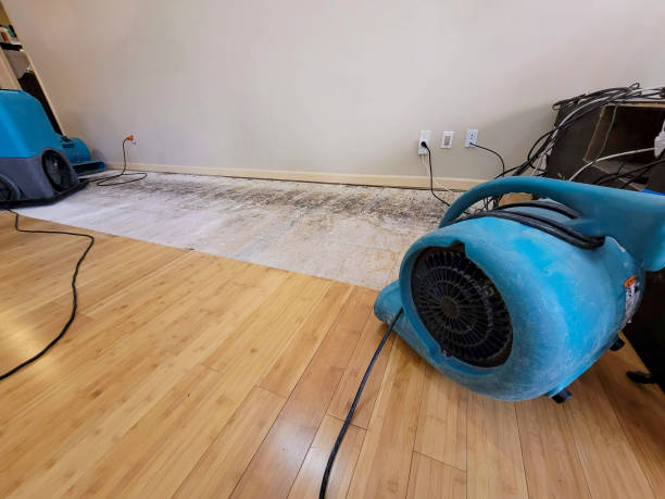 Professional Basement Flood Cleanup technician working in Schooleys Mountain, NJ